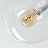 Moderne 7-lichts Plafondlamp Gastor met heldere glazen bollen, ø 15 cm