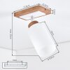Alvorn plafondlamp met draaibare lampkop, E27, Scandinavisch voor woonkamer en hal