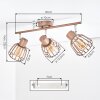 Keldor 3-lichts plafondlamp en plafondspot voor eetkamer met draaibare kooi-kappen