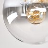 Moderne Cluster-plafondlamp Gastor met 4 glazen bollen in amber, helder en rookkleurig