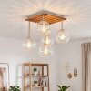 Koyoto 5-lichts plafondlamp met bolkappen, E14 voor woonkamer en eetkamer