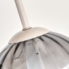 Zandkleurige cluster-plafondlamp Koyoto met 4 rookglazen bollen, ø 15 cm, E14