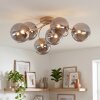 Moderne Cluster-plafondlamp Chehalis met zes rookglazen bollen in zandkleurig metaal