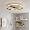 Ronde plafondlamp Calista LED met ringvorm, goud, instelbare lichtkleur 3000-6000 Kelvin