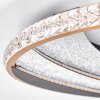 Ronde plafondlamp Calista LED met ringvorm, goud, instelbare lichtkleur 3000-6000 Kelvin