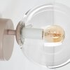 Ronde wandlamp Gastor met heldere bol en zichtbare E14-fitting voor bij de bank