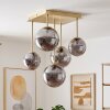 Cluster-plafondlamp Chehalis met 5 rookglazen bollen in moderne stijl