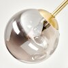 Cluster-plafondlamp Chehalis met 5 rookglazen bollen in moderne stijl