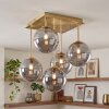 Moderne Cluster-plafondlamp Chehalis met 5 rookglazen bollen met messing armatuur