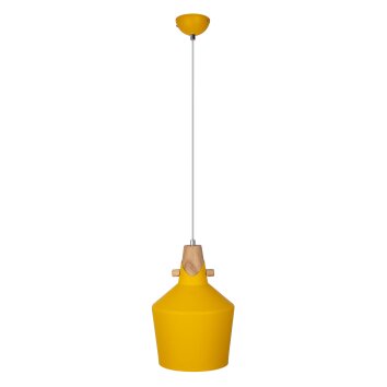 NOWA Jacoba ronde pendellamp hanglamp E27 Ø 22 cm modern voor eetkamer