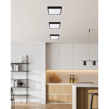 NOWA Puccy moderne LED plafondlamp 3000 K 1200 lm 10 W voor eetkamer en hal