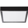 NOWA Puccy LED strakke vierkante plafondlamp, modern, 15 Watt 1500 Lumen 3000 Kelvin