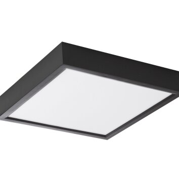 NOWA Puccy LED plafondverlichting vierkante plafondlamp 2400 lumen 3000K 20W
