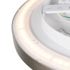 Steinhauer LED plafondlamp Flady, platte ronde bouwvorm, in zilver, 2700 Kelvin warmwit