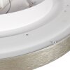 Steinhauer LED plafondlamp Flady, platte ronde bouwvorm, in zilver, 2700 Kelvin warmwit