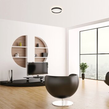 Steinhauer Ringlux LED ring plafondlamp voor woonkamer en slaapkamer, moderne ronde lamp