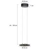 Steinhauer Soleil LED verstelbare hanglamp 2-lichts modern 32 cm 30W 4000 lm 2700K