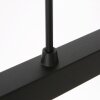 Steinhauer Stang pendellamp voor eetkamer, eettafellamp, modern, 3-licht verstelbaar
