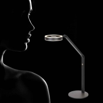 Steinhauer Ringlux LED bureaulamp met schakelaar, verstelbare leeslamp modern