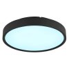 Globo Jess LED plafondlamp rond 39 cm 4600 lm 1800-12000 K met afstandsbediening