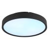 Globo Jess LED plafondlamp rond 39 cm 4600 lm 1800-12000 K met afstandsbediening