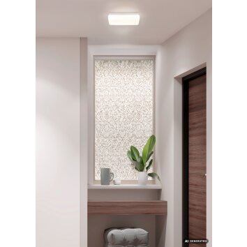 Globo Donte moderne LED plafondlamp voor hal 3000/4200/6500 Kelvin 1260 Lumen 12 Watt