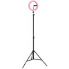 Globo Delgado LED ringlamp met smartphonehouder, 600 lumen, 2700-6500 K, 8 W