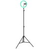 Globo Delgado LED ringlamp met smartphonehouder, 600 lumen, 2700-6500 K, 8 W