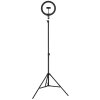 Globo Delgado LED ringlamp met smartphonehouder, 600 lumen, 2700-6500 K, 8 W