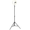 Globo Delgado LED ringlamp met smartphonehouder, 600 lumen, 2700-6500 K, 8 W