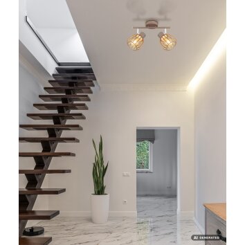 Globo Olin 2-lichts plafondspot in kooi-optiek, E27, 40W, modern voor hal en woonkamer