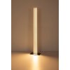 Globo Hayden langwerpige LED vloerlamp met verticale lichtstrips, moderne staande lamp