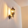 Lentua Buiten muurverlichting Bruin, Goud, 1-licht