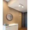 Globo Rowena plafondspot 2-lichts E27 moderne uitvoering voor woonkamer en keuken