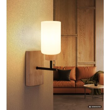 Globo Rowena moderne wandlamp met E27 fitting voor hal en woonkamer, 60 Watt