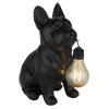 Globo DOGLI LED solarlamp hond tuinverlichting met schakelaar voor buiten 3000 K 6 W