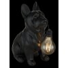 Globo DOGLI LED solarlamp hond tuinverlichting met schakelaar voor buiten 3000 K 6 W