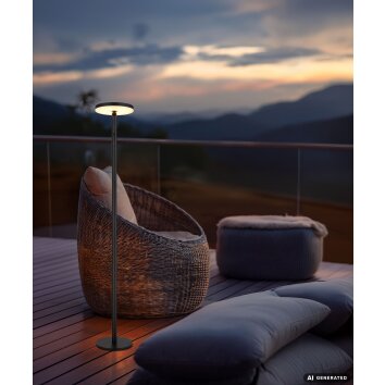 Globo DYNARO LED staande zonnelamp voor terras en tuin, moderne padverlichting