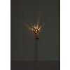 Globo AURALIE Solar tuinlamp op spies, buitenlamp voor pad, LED 3000 Kelvin 2 Watt