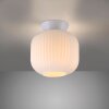 SCHÖNER WOHNEN-Kollektion NAMI moderne wand- en plafondlamp, plafonnière met E27