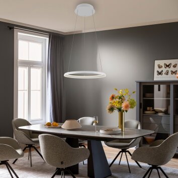 SCHÖNER WOHNEN-Kollektion QUILLO LED ringpendelleuchte voor eettafel, modern, 60 cm