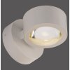 SCHÖNER WOHNEN-Kollektion CHIA LED wandlamp up- & downlight in modern design