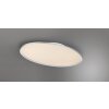 Trio Leuchten Ovale plafondlamp LED, platte vorm, titankleurig, 6500 Kelvin daglichtwit