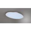 Trio Leuchten Ovale plafondlamp LED, platte vorm, titankleurig, 6500 Kelvin daglichtwit