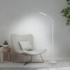 Paul Neuhaus LED verstelbare staande lamp ELLY, instelbare lichtkleur 3000 Kelvin warmwit