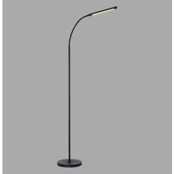 Paul Neuhaus LED booglamp ELLY, verstelbaar, lichtkleur instelbaar 2700-5000 Kelvin