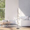Leuchten Direkt LED staande lamp Emanda, messingkleurige spiraal, 3000 Kelvin warmwit