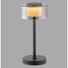 Paul Neuhaus LED tafellamp RIKA, rookglaskap, geheugenfunctie, warmwit 3000 Kelvin