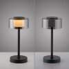 Paul Neuhaus LED tafellamp RIKA, rookglaskap, geheugenfunctie, warmwit 3000 Kelvin