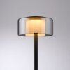Paul Neuhaus LED tafellamp RIKA, rookglaskap, geheugenfunctie, warmwit 3000 Kelvin
